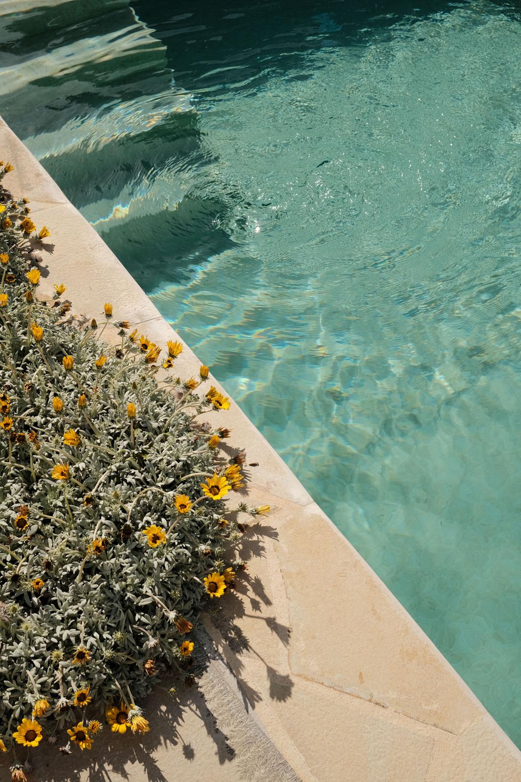 Turquoise water in een zonovergoten zwembad met een warme stenen rand en gele bloemen